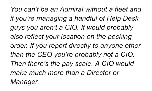 the key difference between CIO and IT Director/Manager