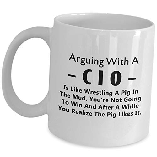 the key difference between CIO and IT Director/Manager
